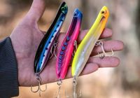 Topwater/Surface Lures