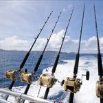 Boat Fishing Rods & Reels