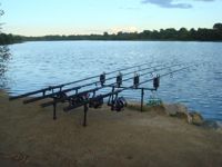 Carp Rods