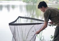 Landing Net Heads