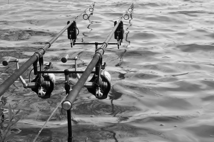 Cygnet Fixed Buzzer Bar 2 Rod 10inch