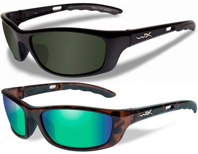 Wiley X P-17 Polarised Sunglasses