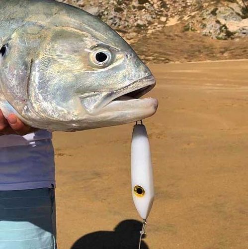 Samson Lures Fat Minnow 30g