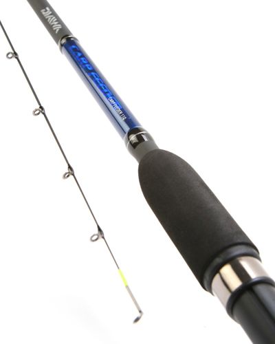 Daiwa CARP Match 10ft (Older Model)