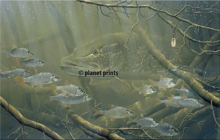 Planet Prints Fishing Art - Pike & Roach