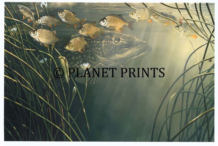 Planet Prints Fishing Art - Pike & Rudd