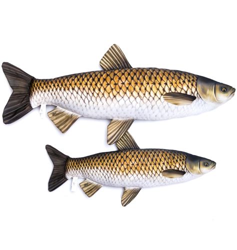 Gaby Grass Carp Pillow