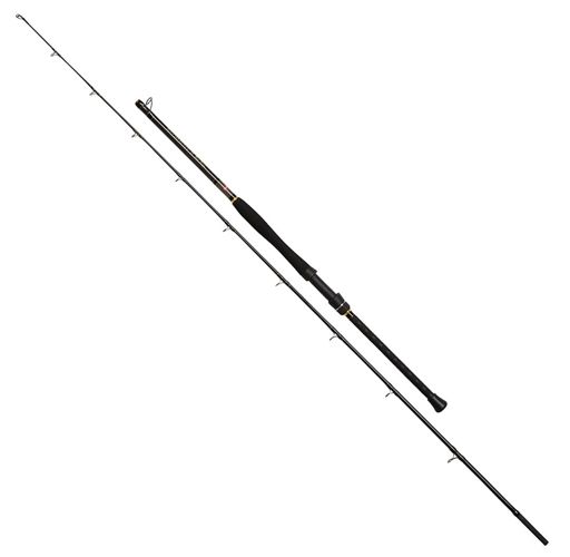 Penn Regiment II Boat Rods