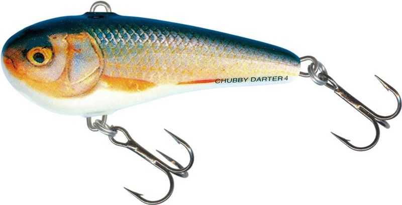 Salmo Chubby Darter 4cm