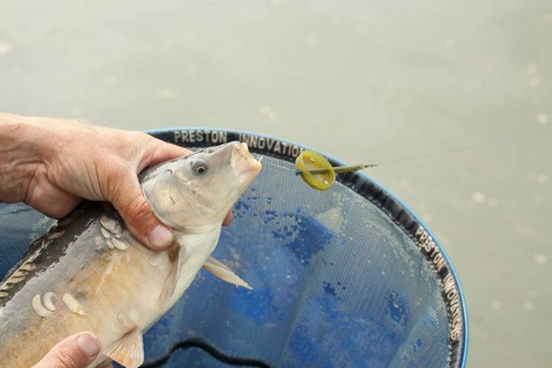 Preston Innovations Banjo Feeder IN-LINE