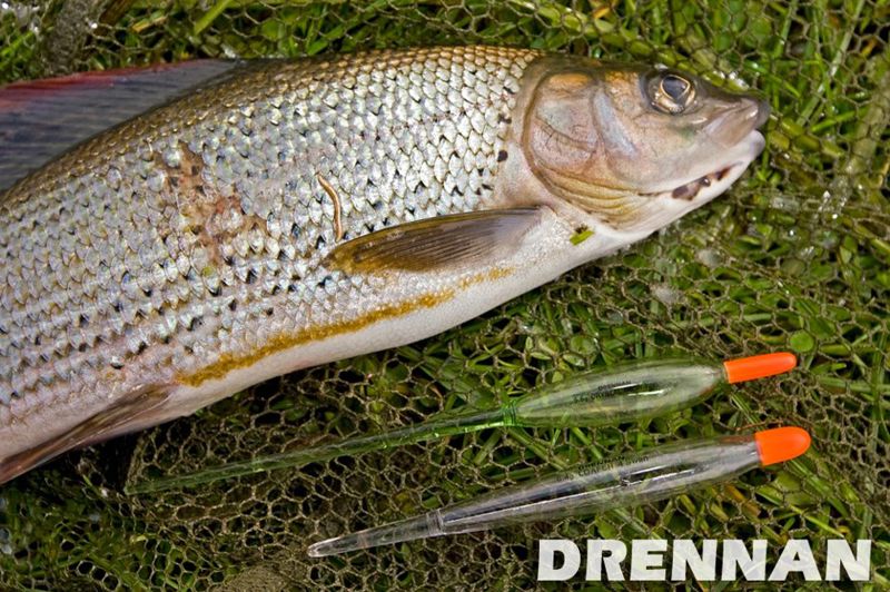 Drennan Crystal Avons