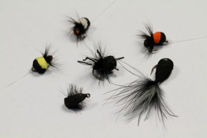 Nash Zig Bugs (OLD MODEL)