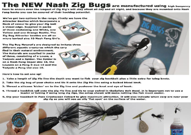 Nash Zig Bugs (OLD MODEL)