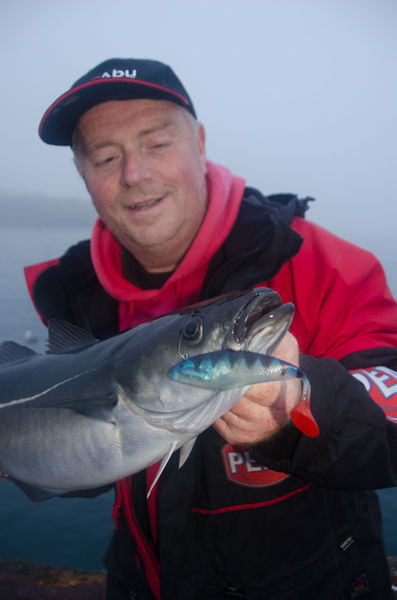 Shakespeare Hellfire Shads 14cm
