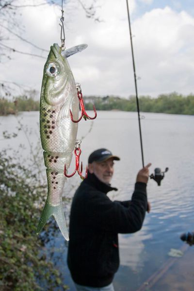 Storm Wildeye SEGMENTED KICKIN Minnow