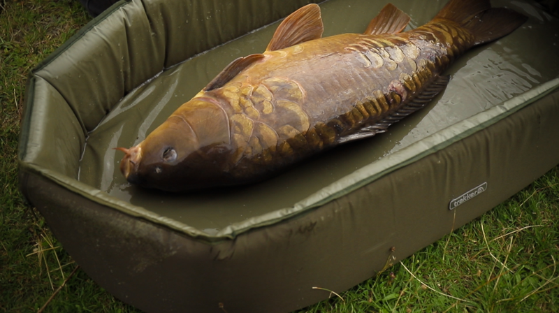 Trakker Sanctuary Self-Inflating Cribs