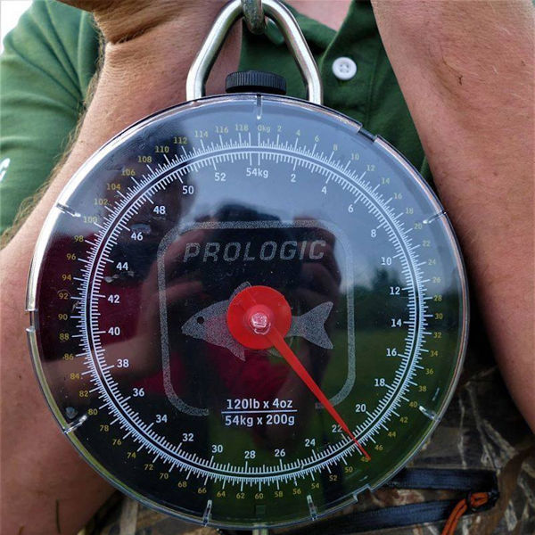 Prologic Specimen Dial Scales 60lb