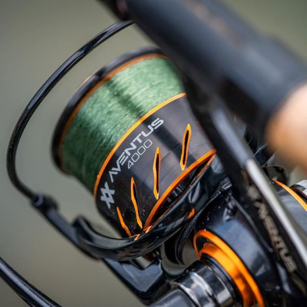 Guru Aventus Reels