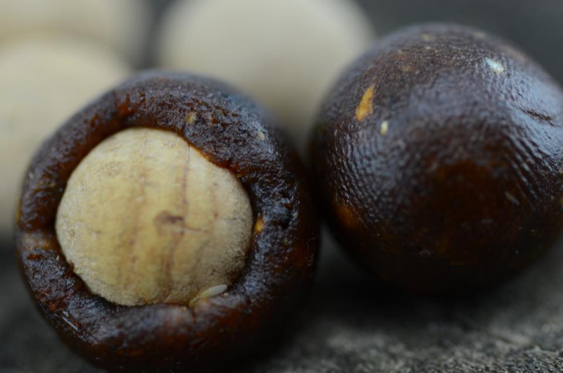 Thinking Anglers Cork Balls