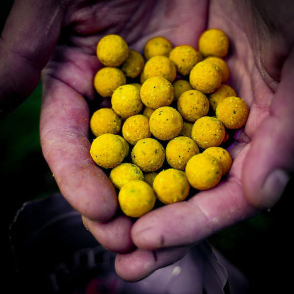 Munch Baits Citrus Nut Boilies 14mm