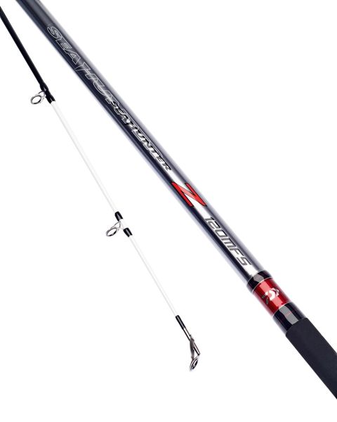 Daiwa Sea Hunter Z Beachcaster