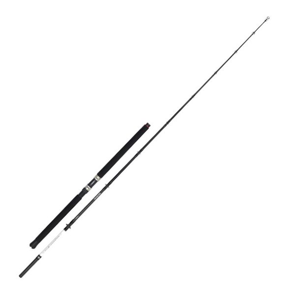 Daiwa Seahunter Z Boat Rod 20-30lb