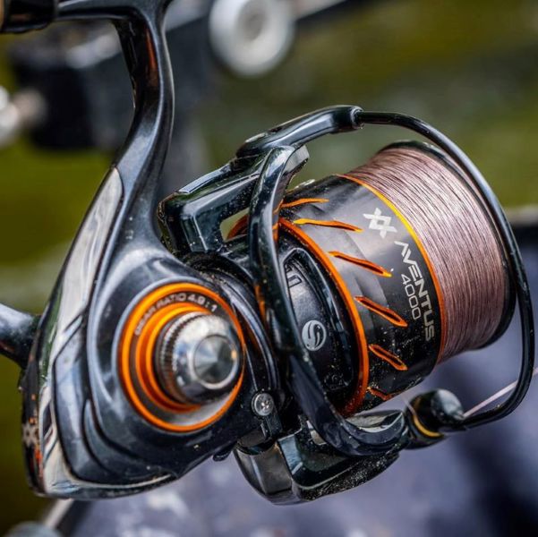 Guru Aventus Reels