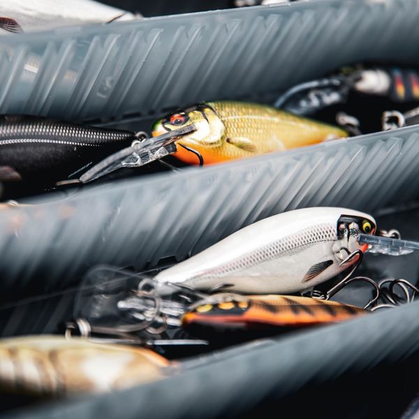 Rapala Shad Rap Lures 7cm/8g