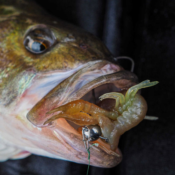 Savage Gear Ned Craw Lures