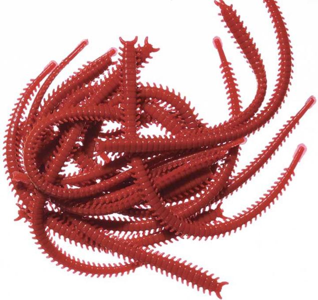 Marukyu Isome Artificial Worms