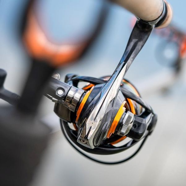 Guru Aventus Reels