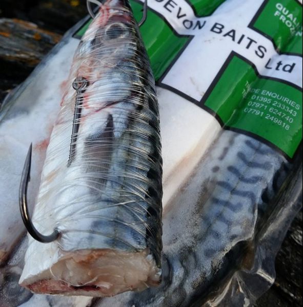 Devon Baits Mini Frozen Mackerel