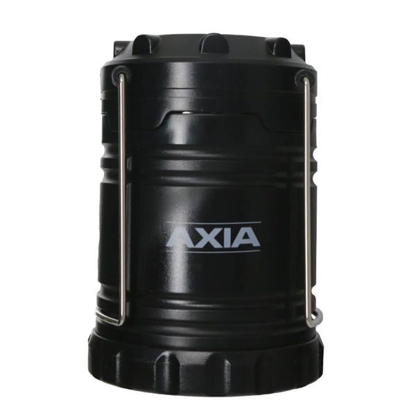 Axia Flood Light