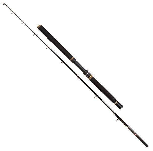 Penn Regiment II XT Boat Rods