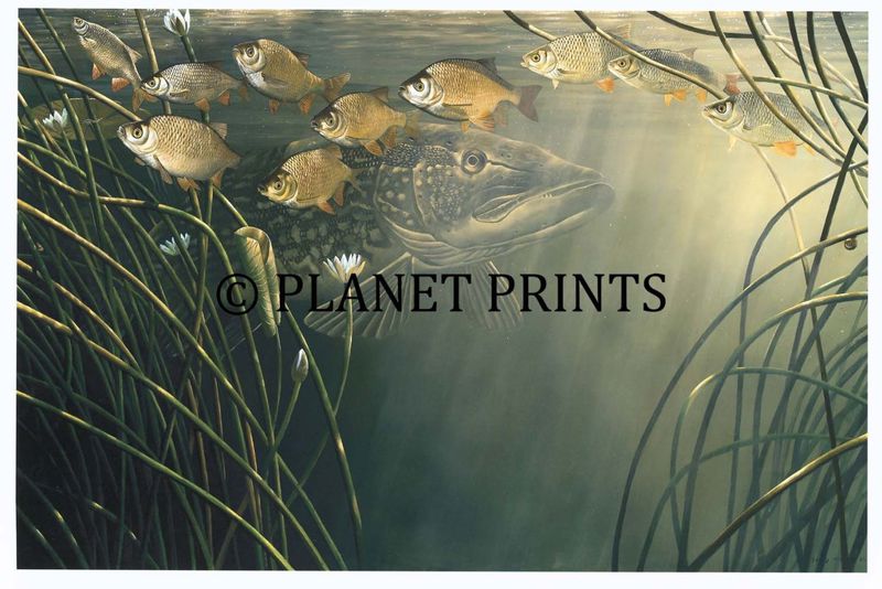 Planet Prints Fishing Art - Pike & Rudd