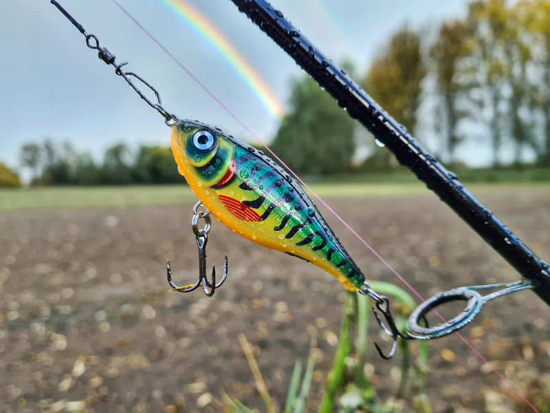 Rapala Twitchin Rap Lures 12cm/53g