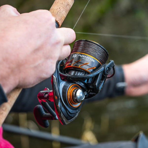 Guru Aventus Reels