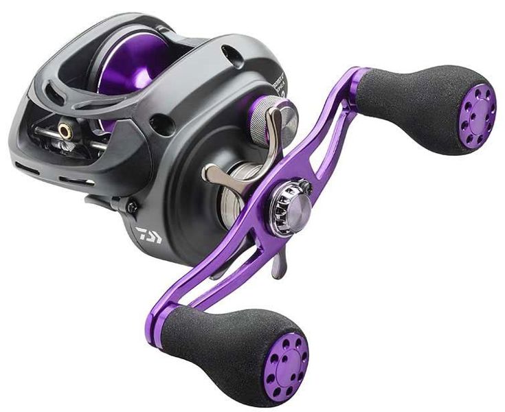 Daiwa Prorex XR 300 Baitcaster