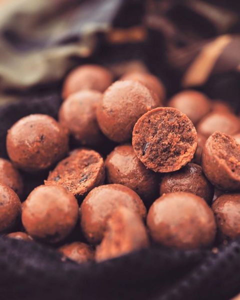 CC Moore Pacific Tuna Shelf Life Boilies