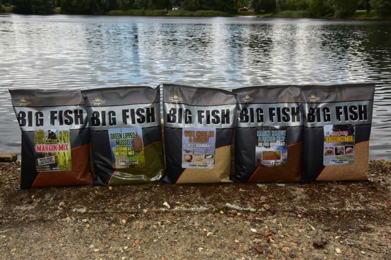 Dynamite Baits Big Fish White Chocolate & Coconut Sweet Groundbait