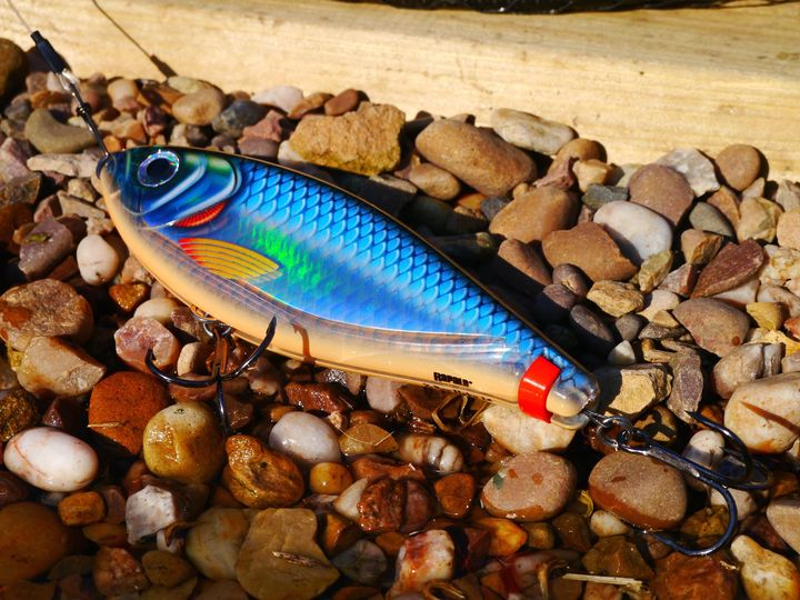 Rapala X-Rap Haku 14cm/74g