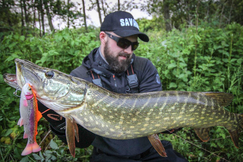 Savage Gear 4D Line Thru Pulse Tail Trout 16cm
