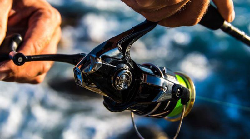 Shimano Sustain FI Reels