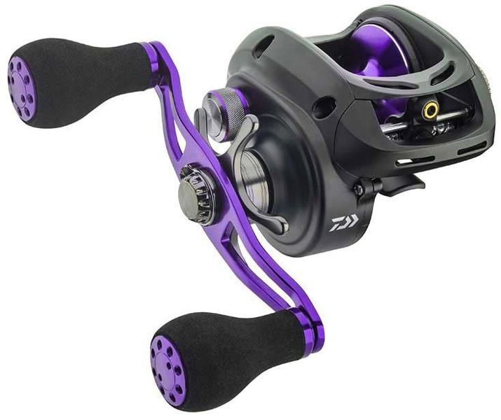 Daiwa Prorex XR 300 Baitcaster