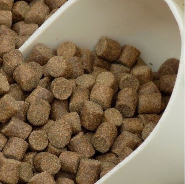 Skretting Carp Pellets 1Kg