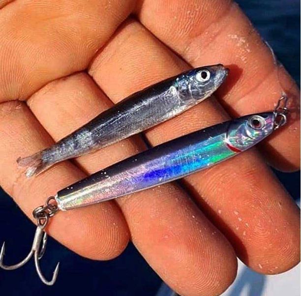 Savage Gear Salt 3D Slim Minnow Jigs