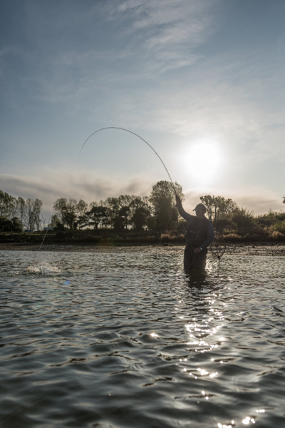 Wychwood RS2 Fly Rods 