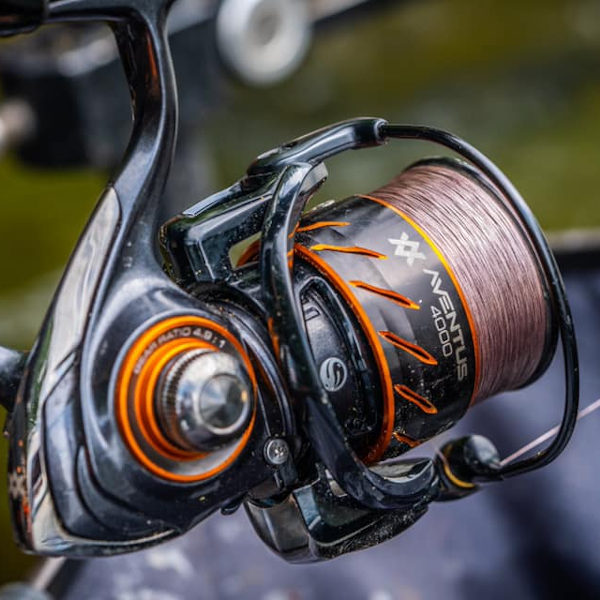 Guru Aventus Reels