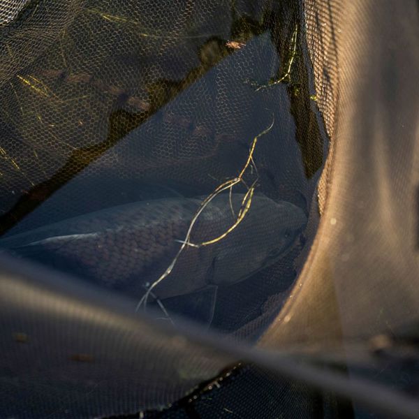 Trakker Sanctuary T8 Landing Net 42inch