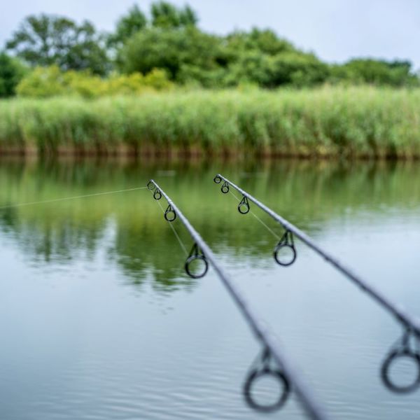 Daiwa Black Widow XT Carp Rods